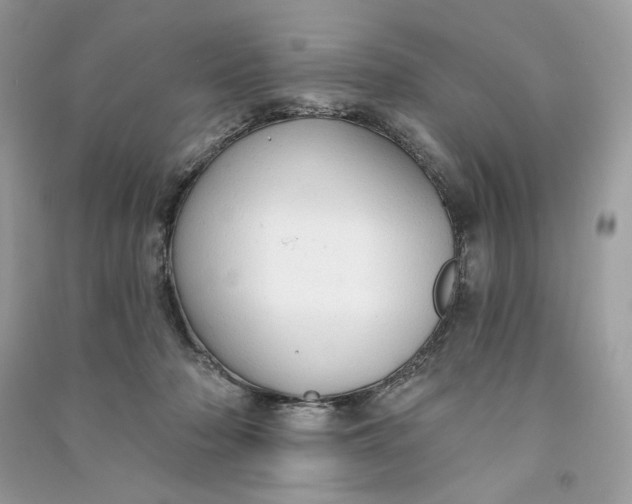 X0000090770318200708101815
