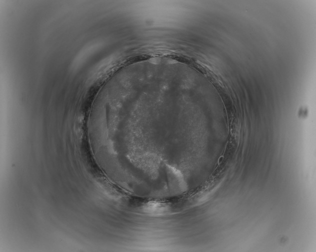 X0000090770319200708101815