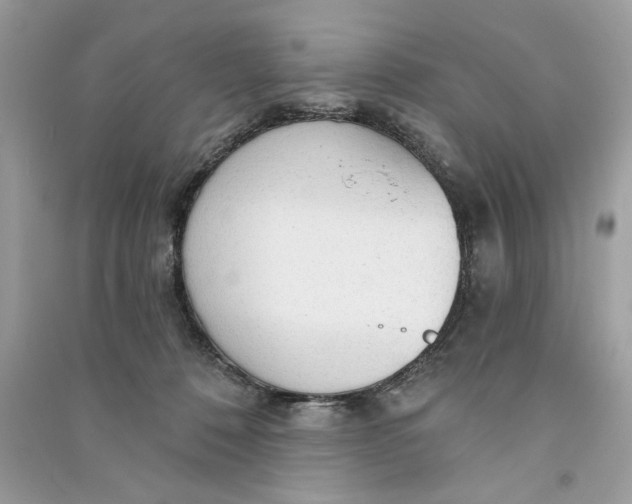 X0000090770320200708101815
