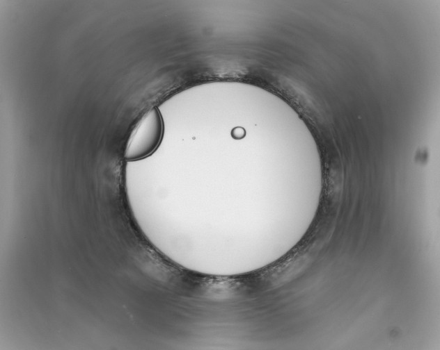 X0000090770321200708101815
