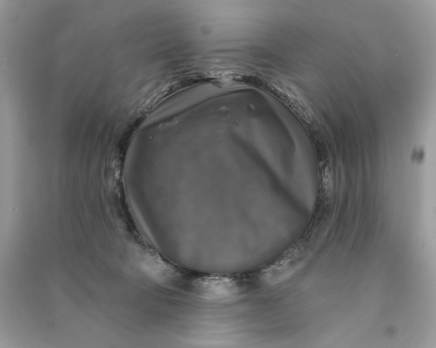 X0000090770322200708101815