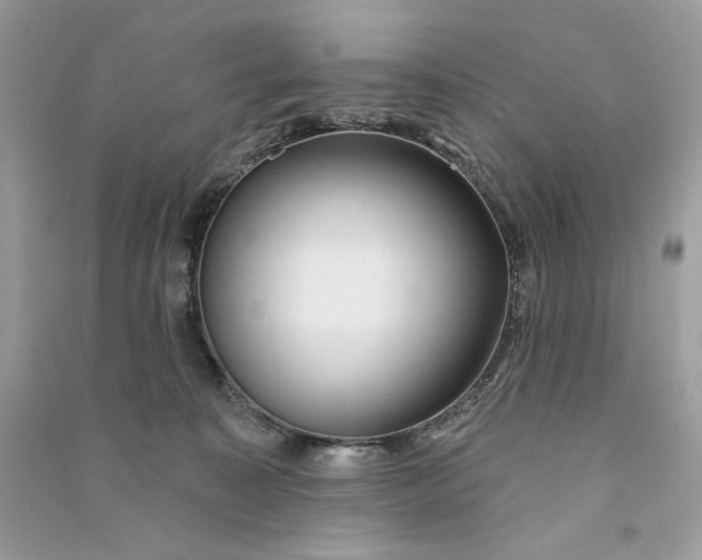 X0000090770323200708101815