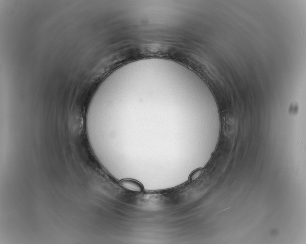 X0000090770324200708101815