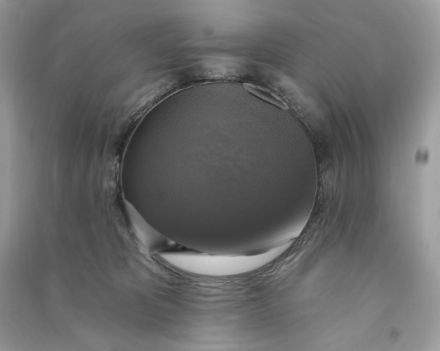 X0000090770325200708101815