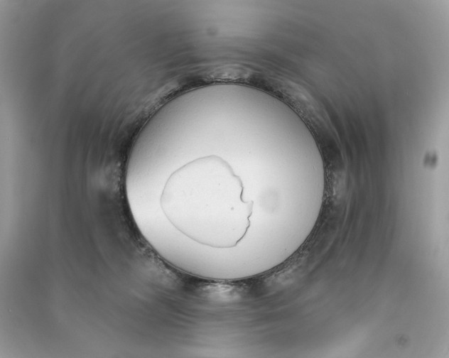 X0000090770326200708101815