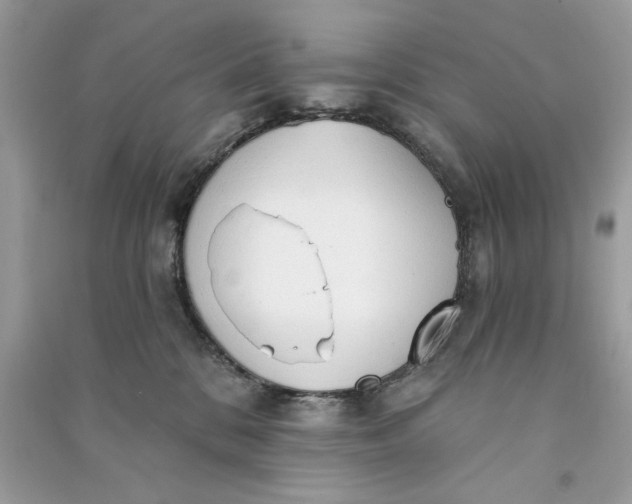 X0000090770328200708101815