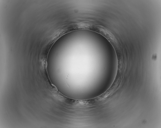 X0000090770329200708101815