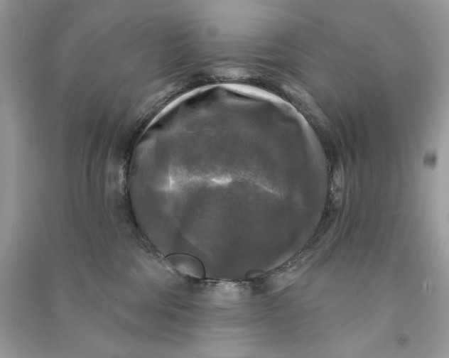 X0000090770330200708101815