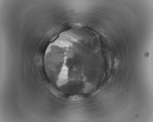 X0000090770331200708101815