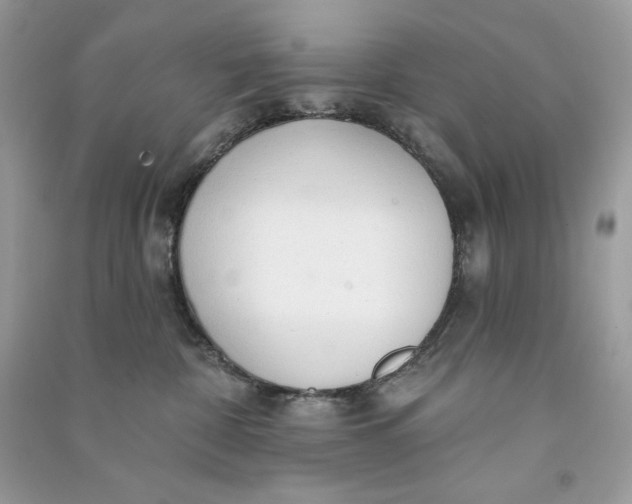 X0000090770332200708101815