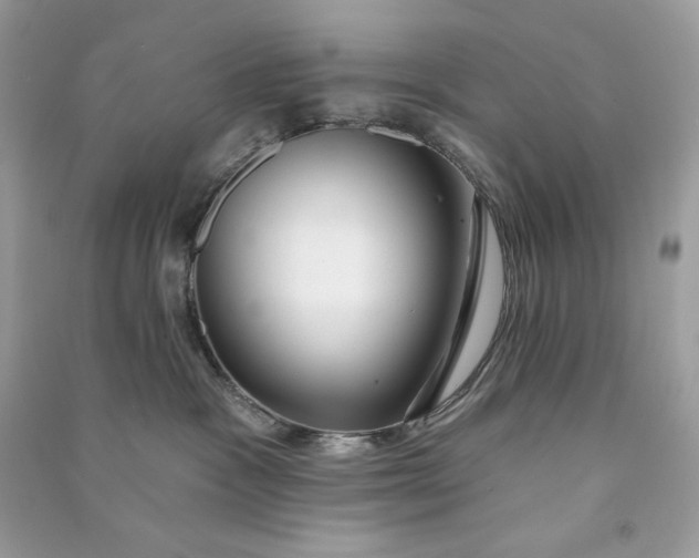 X0000090770333200708101815