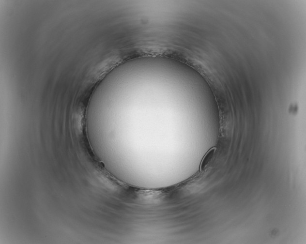 X0000090770334200708101815