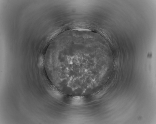 X0000090770335200708101815
