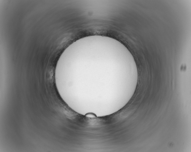 X0000090770336200708101815