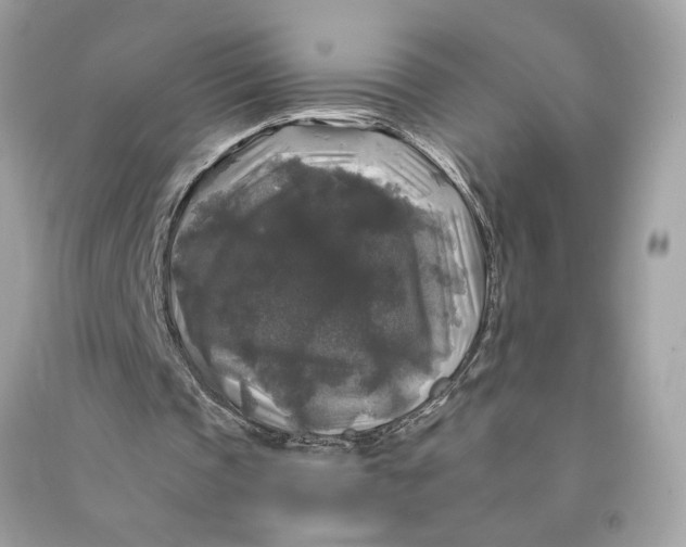 X0000090770337200708101815