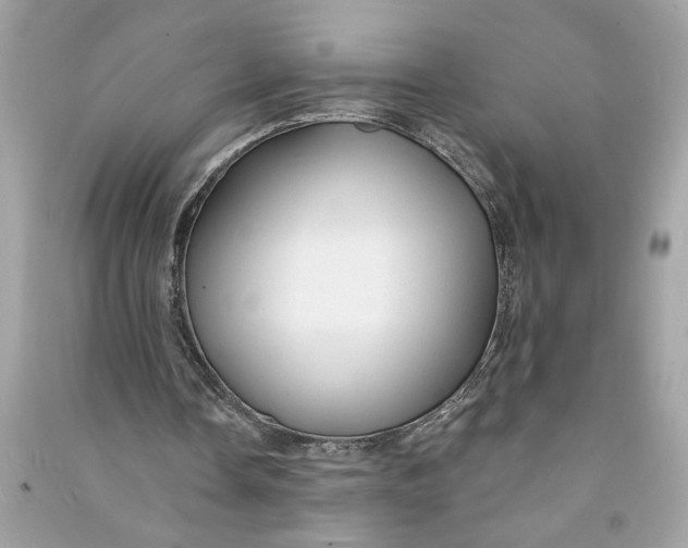 X0000090770338200708101815