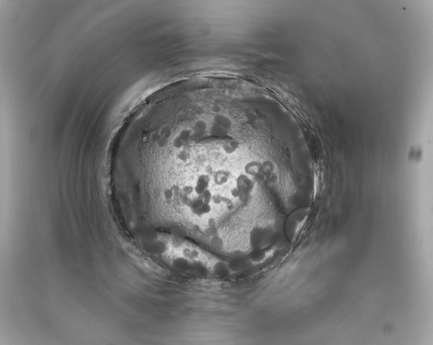 X0000090770339200708101815