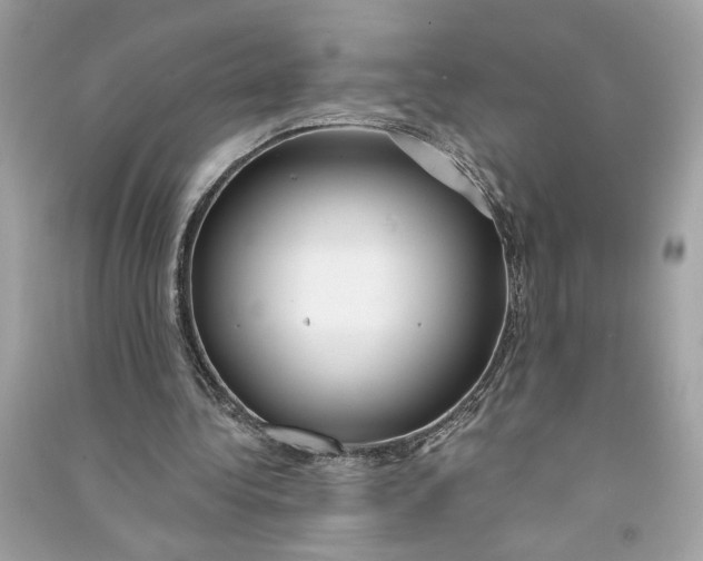 X0000090770340200708101815