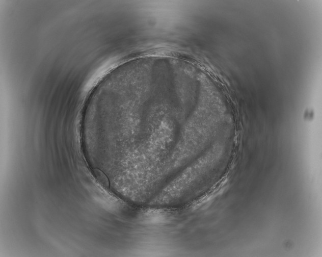 X0000090770341200708101815