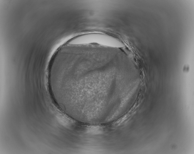 X0000090770342200708101815