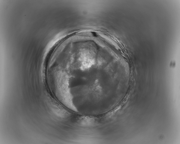 X0000090770343200708101815