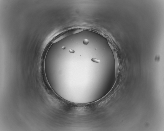 X0000090770344200708101815