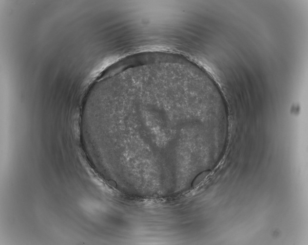 X0000090770345200708101815