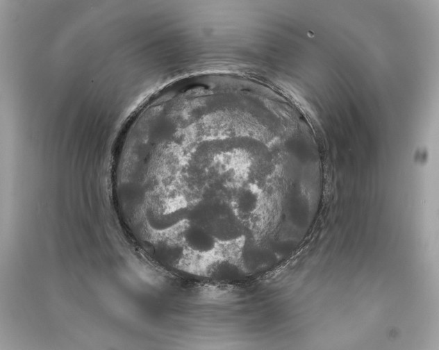 X0000090770346200708101815