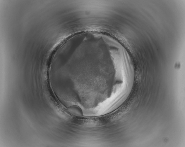 X0000090770347200708101815