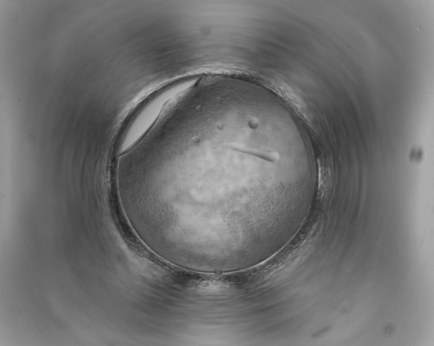 X0000090770348200708101815