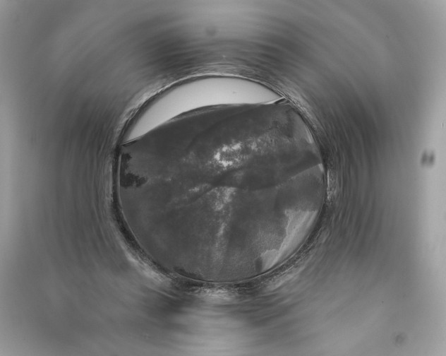 X0000090770349200708101815