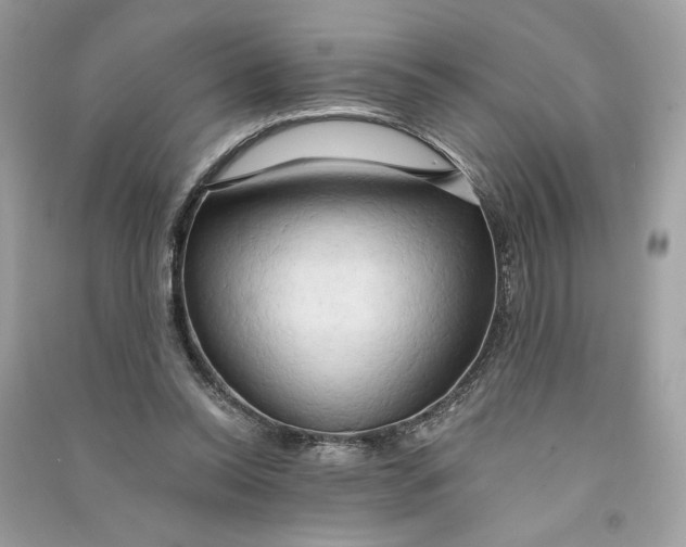 X0000090770350200708101815