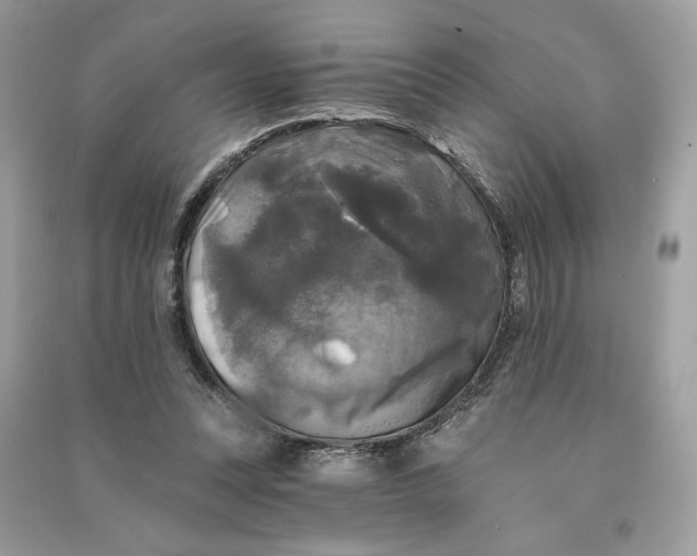 X0000090770351200708101815
