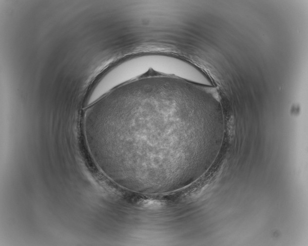 X0000090770352200708101815