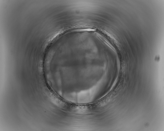 X0000090770353200708101815