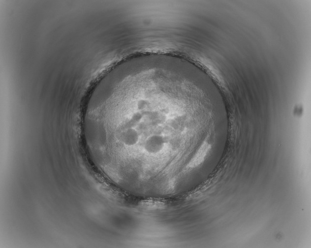 X0000090770354200708101815