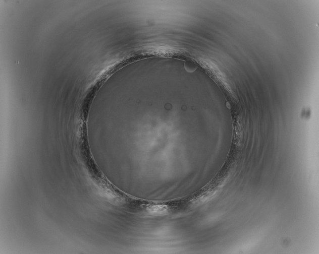 X0000090770355200708101815