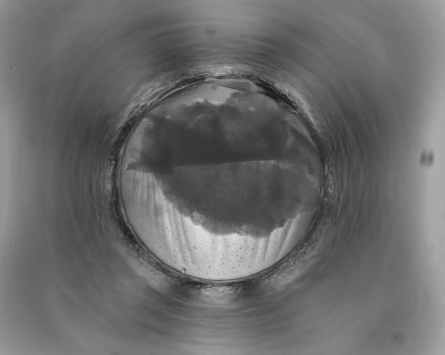 X0000090770357200708101815