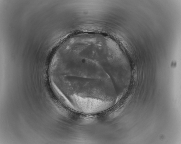 X0000090770359200708101815