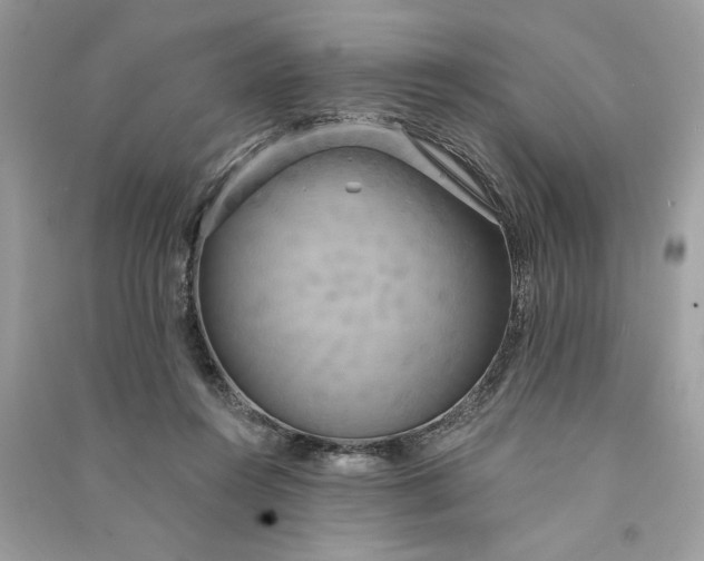 X0000090770360200708101815
