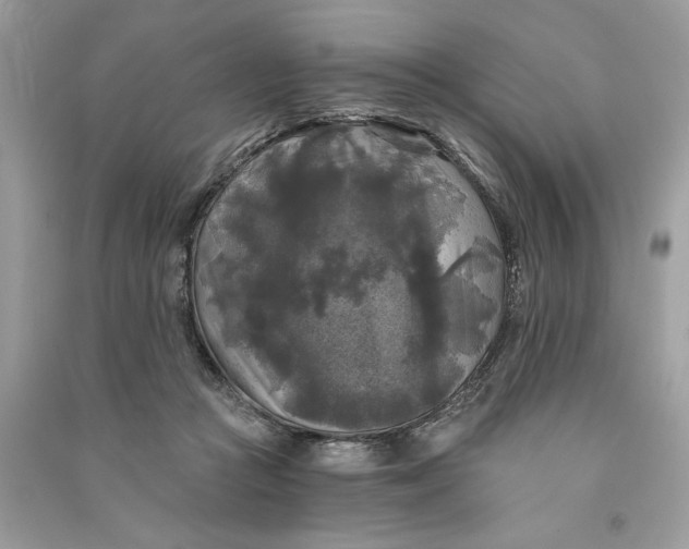 X0000090770361200708101815