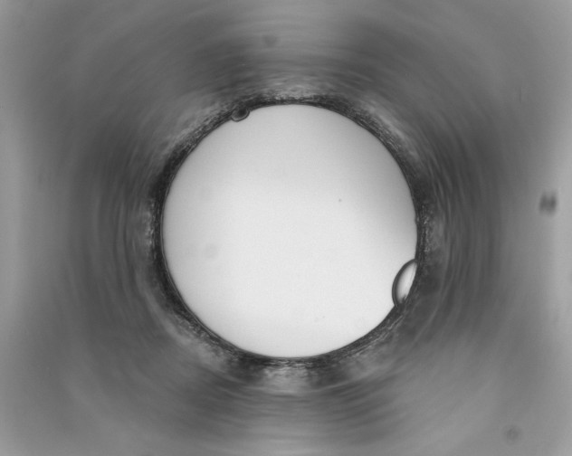 X0000090770362200708101815