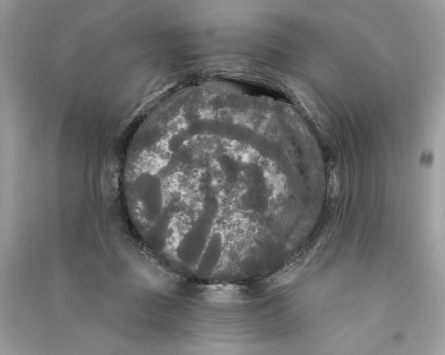 X0000090770363200708101815