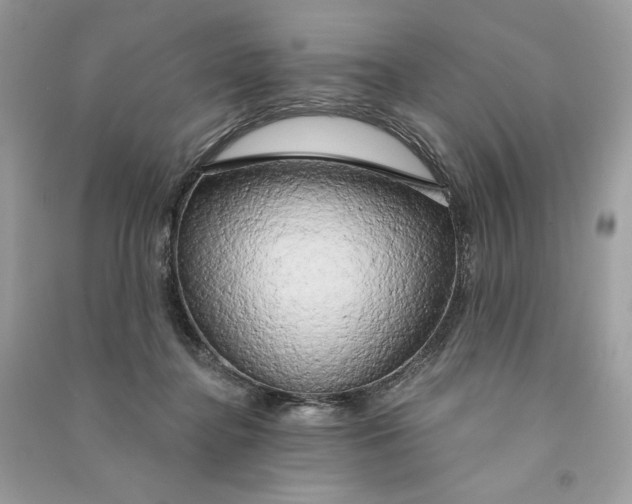 X0000090770364200708101815