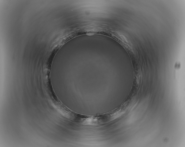 X0000090770366200708101815