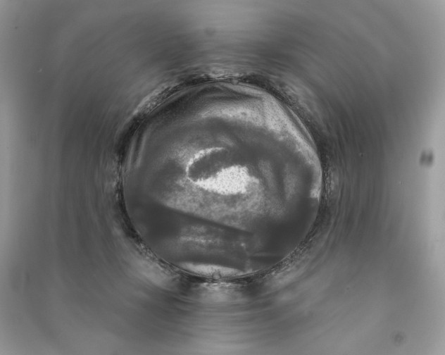 X0000090770367200708101815