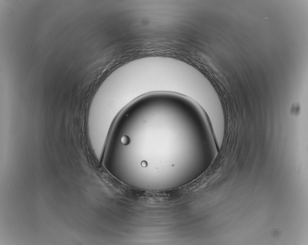 X0000090770368200708101815