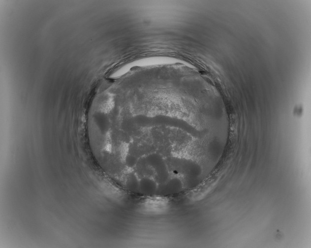 X0000090770369200708101815