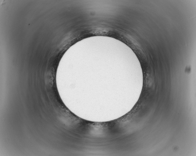 X0000090770370200708101815