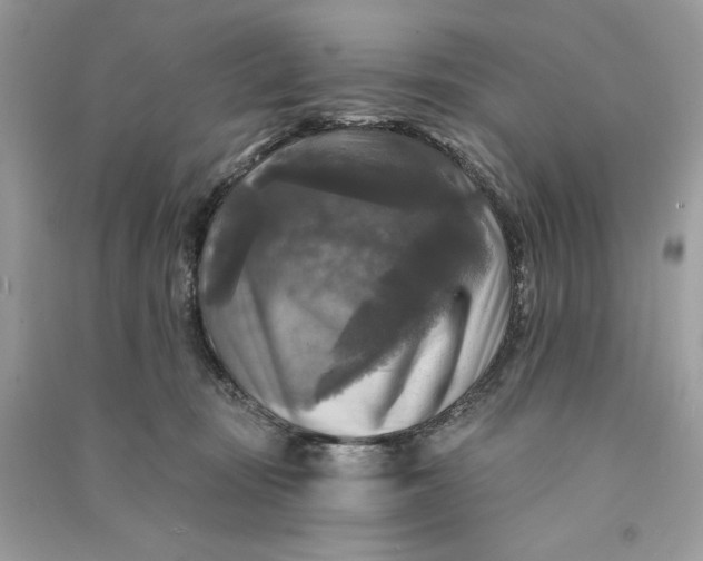 X0000090770371200708101815
